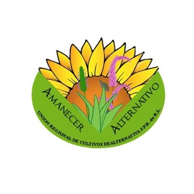 URECA_GTO's profile picture. Somos la Unión Regional de Cultivos de Alternativa del estado de Guanajuato, comprometidos con nuestra gente, nuestros productores y nuestro estado.