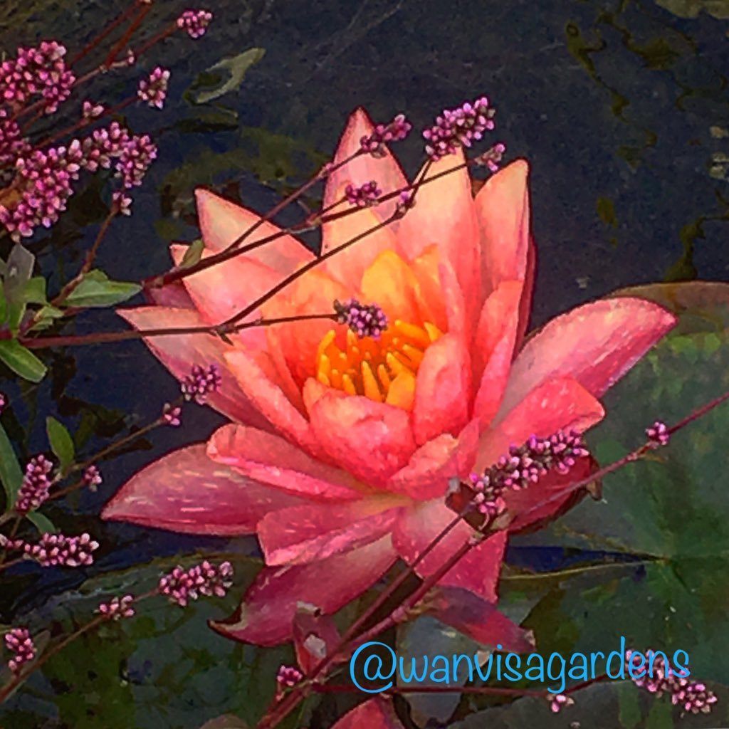 hitch7514's profile picture. Pond and waterfall builder