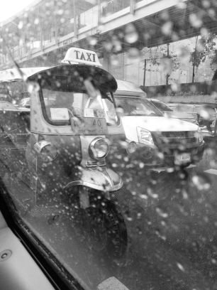 cryptobot234's profile picture. influx unflux