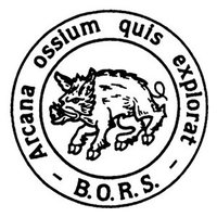 BJR-BORS Travelling Fellows (@bjrborsfellows) 's Twitter Profile