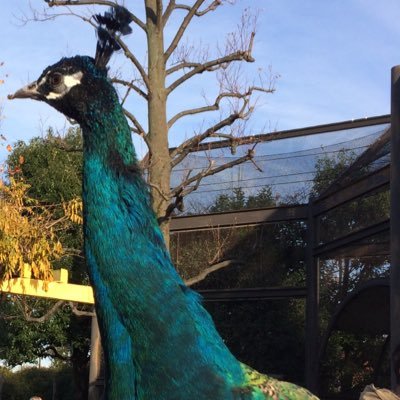 mattyatensi's profile picture. こっそり光と闇の調和をうまいことできないかなと研究しながら活動をしています。

このアカウントでは「いいね」を肯定的な意志表明としてではなく、後で読み返せるようにブックマークとして押して残していることがあります。
