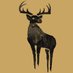 Black Deer Festival (@blackdeerfest) Twitter profile photo