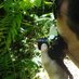 Yves Figueiredo (@yves_figueiredo) Twitter profile photo Yves Figueiredo (@yves_figueiredo) Twitter profile photo