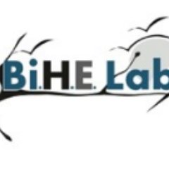 bihelab's profile picture. 