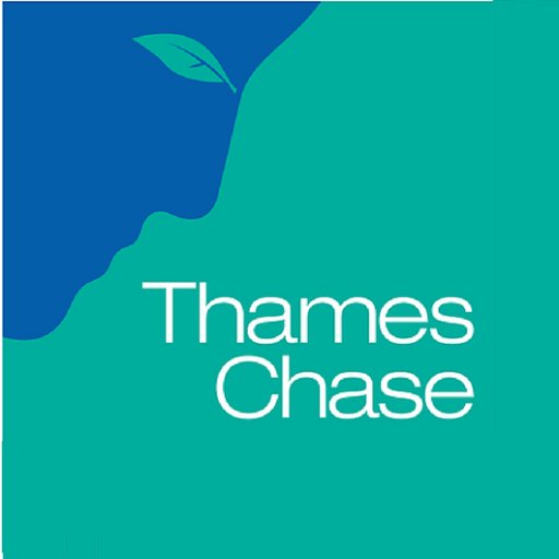 Thames Chase