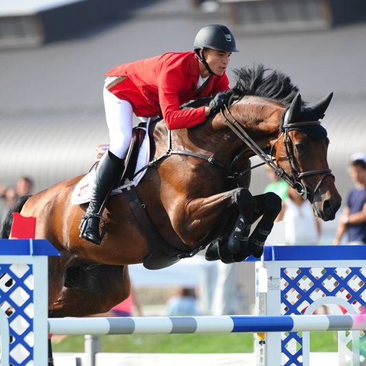 International Showjumping Athlete 🇵🇱  
Reprezentant Polski w Jeździectwie - skoki przez przeszkody.