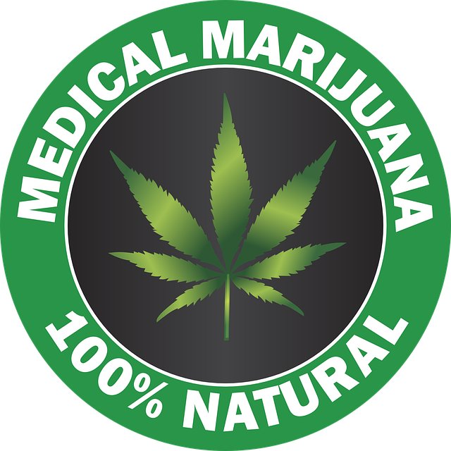 Cannabis Content Marketing, SEO, Photojournalism & Digital Marketing Strategy