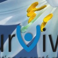 Survivre (@survivremtl) 's Twitter Profile