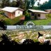 Location Meublé Eden Creole Guyane (@edenguyane) Twitter profile photo Location Meublé Eden Creole Guyane (@edenguyane) Twitter profile photo