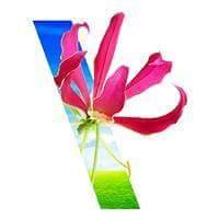 Disruption Company (@tbwazim) 's Twitter Profile Photo Disruption Company (@tbwazim) 's Twitter Profile Photo
