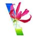 Disruption Company (@tbwazim) Twitter profile photo Disruption Company (@tbwazim) Twitter profile photo