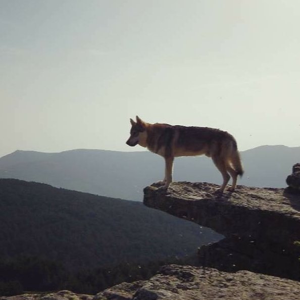 LeKarzz's profile picture. Dios, Patria , Familia, Libertad,
Paz y Prosperidad .