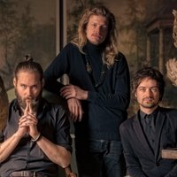 Certain Animals (@certain_animals) 's Twitter Profile