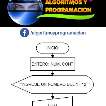 AlgoritmosPeru's profile picture. Docente de Programación