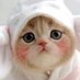 @yumeoi218