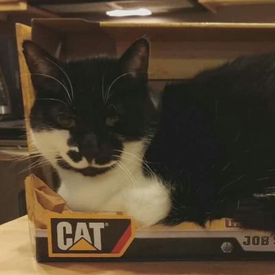 otterplotters's profile picture. 
