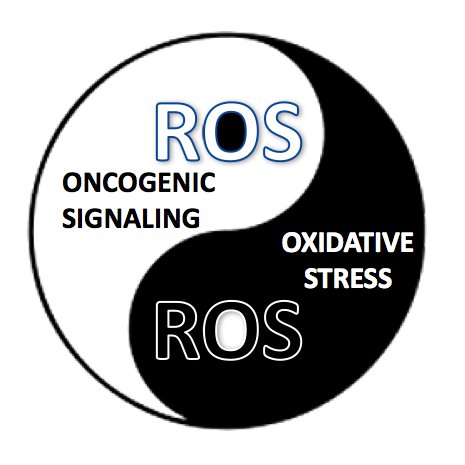 Studying redox vulnerabilities in cancer.  SCCC Tumor Biology Program co-leader, Director SURF program. 
Caltech➡️UCB➡️WI/MIT➡️UMiami/SCCC
therailab@bsky.social