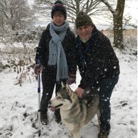 David (@david8phillips) 's Twitter Profile