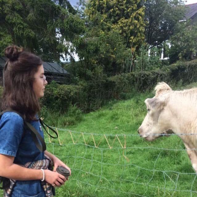 howard__ev's profile picture. 'Playboy of the Western Mediterranean'                                         'so edgy you're a dodecahedron'- LB 
'scabby potato'- HM