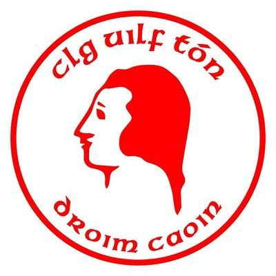 drumquingaa's profile picture. Official account of Drumquin Wolfe Tones GAC, Co. Tyrone
