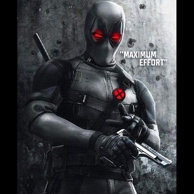 TheKittenFrenzy's profile picture. 