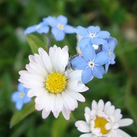 Sophie Viktoria (@sophieviktoria1) 's Twitter Profile Photo