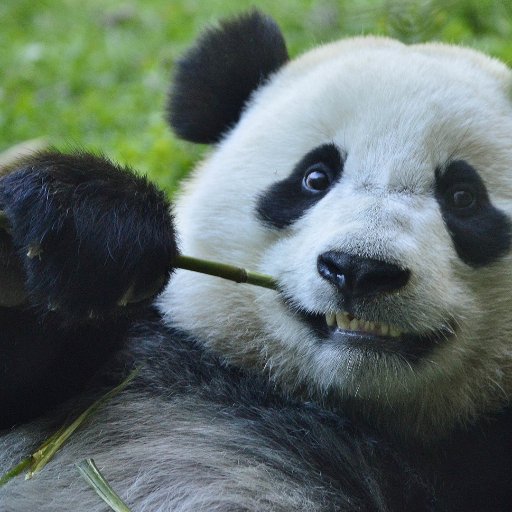 sanzhanggui666's profile picture. 这个世界上最可怕的不是很多人比你牛，而是比你牛的人比你还努力！