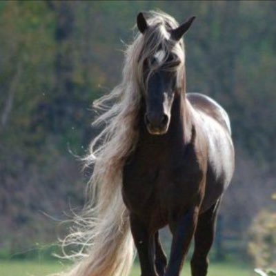 oaDvLHZDnet3gt5's profile picture. 競馬の予想をこちらであげる事にしました。予想スタイルは2000年から独自に計算しているスピード指数上位3頭から馬券を買ってます。気が向いたら見てください。🙇‍♂️ お金がないので豆馬券で楽しんでます😊