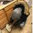 ab_wuan's profile image