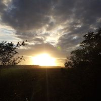 Stephen Mearing (@stephen192093) 's Twitter Profile