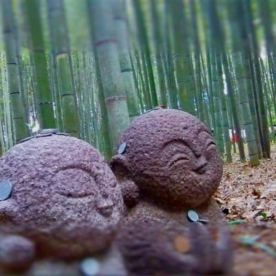 Tobimaru1114's profile picture. 身体と心の健康を守る。もっと自由に。ストレスを味方にして未来へ進もう❗️ #MZDAO初期メンバー #沖縄出身 #神戸在住 #web3.0 #NFT ＃未来投資 🌸#inpersona #vGen #未来の子どもPj