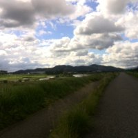 つい・まさ (@boxbrx) 's Twitter Profile
