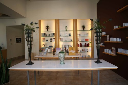 MorphosisStudio's profile picture. 