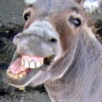 CryptoDudes12's profile picture. looking to quit my job ;P