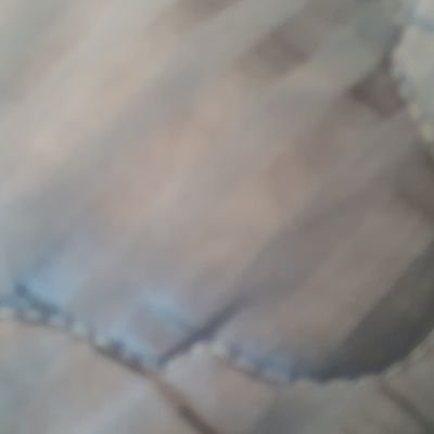 chech_check's profile picture. 