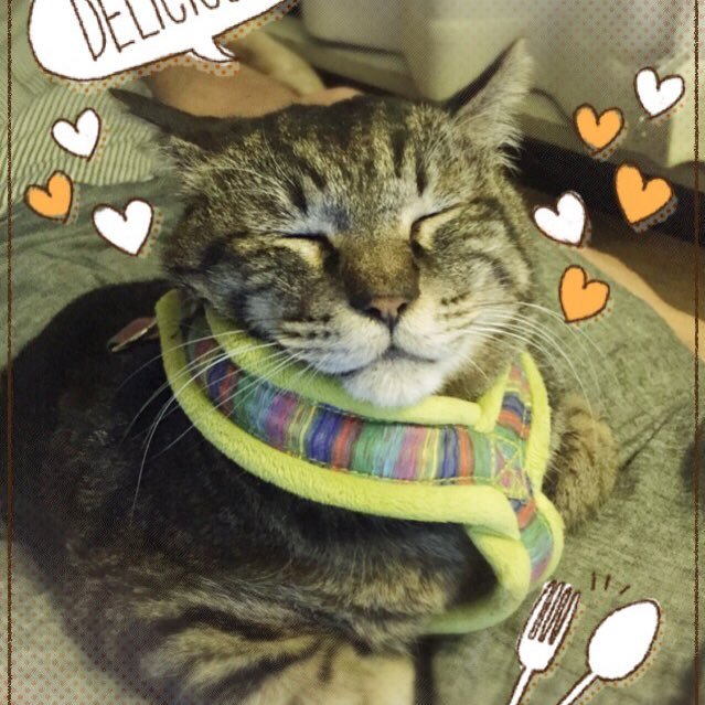 tommyyossy's profile picture. 