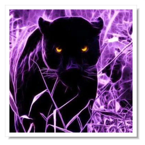 Pantheragrid's profile picture. Panthera Grid is brand new grid and low prices for regions and very stable grid with no issues.