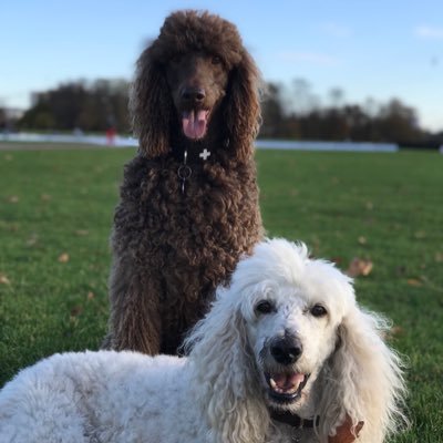 BacchusPorter's profile picture. 