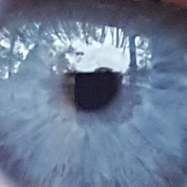 Robert_E_Lehman's profile picture. #NonDuality;#Wholeness;#ThisIsIt;#Love;#Goodness☯☮⚛🕉
#Existence;#NonExistence;#EveryWhere;#NoWhere;#Everything;#Nothing;TweetsJustMyEgo. RTs/❤s=NotEndorsement.