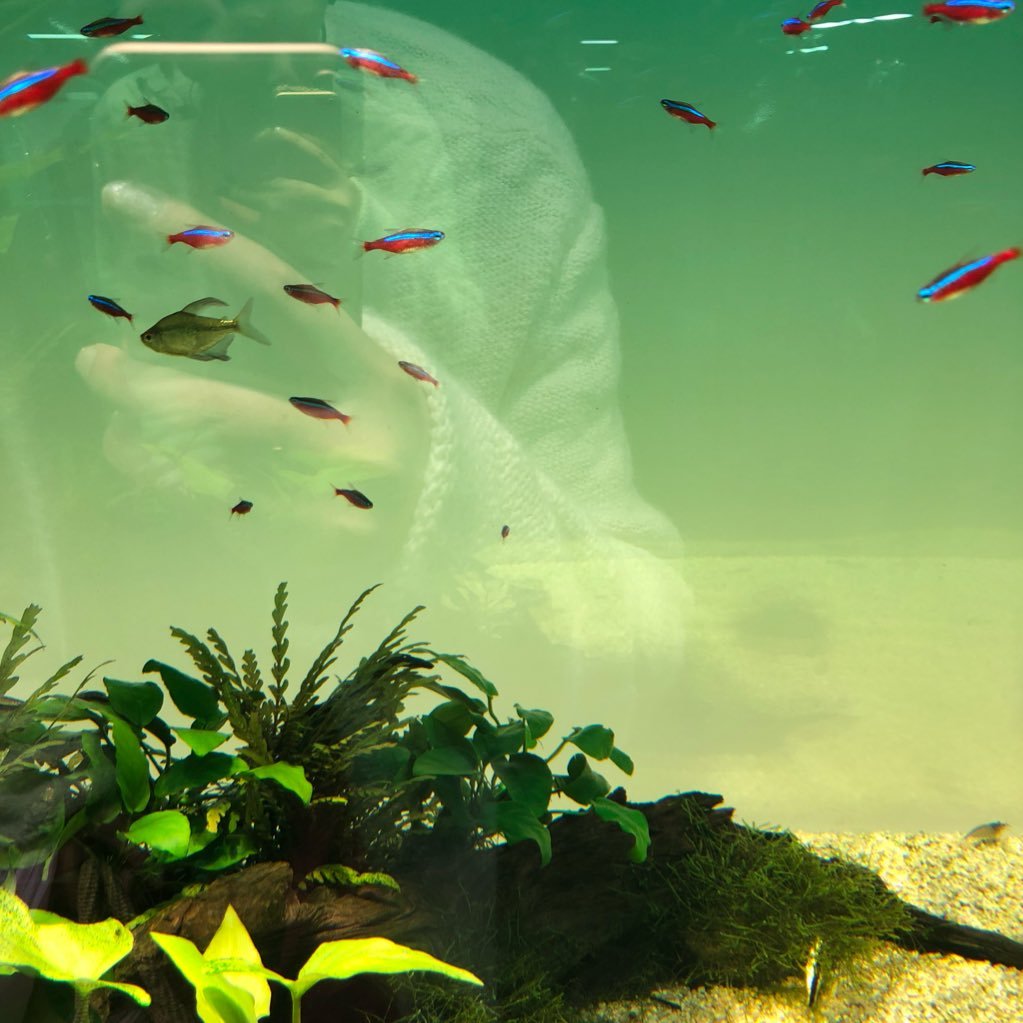 POI_mari's profile picture. nature自然と、海外と繋がってる場所🌈地球のうつくしいものたち。旅する。 mintspace marketというお店やさんをやっています🌟シニアドッグケアの勉強中🐶💖