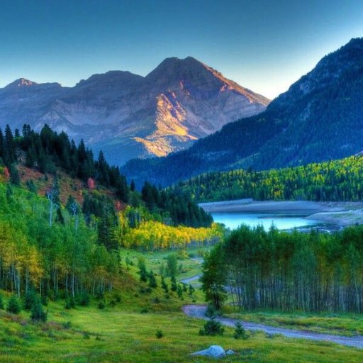 MrA367's profile picture. ⚕️
COYS