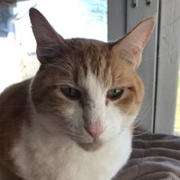 QuirkOfTime (@quirkoftime) 's Twitter Profile