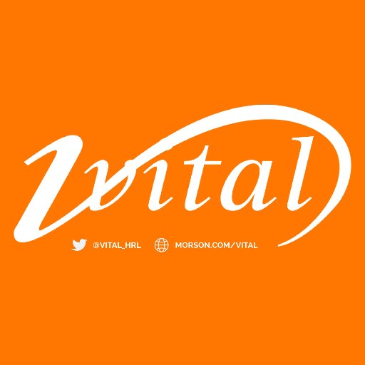 Vital_HRL's profile picture. Vital Human Resources Ltd, part of @MorsonGroup, is a major support services provider for the #rail& #underground sectors.