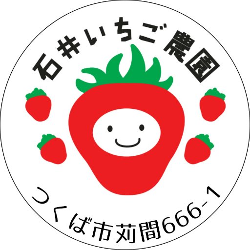 茨城県つくば市の「石井いちご農園」です。品種はとちおとめ、おいCベリー、紅ほっぺ、いばらキッスになります。営業期間︰12月中旬〜5月初旬。営業時間：毎日13時〜、売り切れ次第終了となります。ご予約、地方発送承ります。