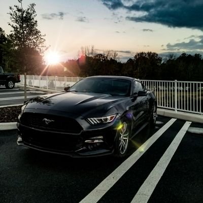 Ford 2017 Ecoboost Mustang
Shadow Black