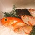 魚や藤海 旬魚料理と季節の日本酒 秋葉原 末広町 (@uoyafujimi) Twitter profile photo 魚や藤海 旬魚料理と季節の日本酒 秋葉原 末広町 (@uoyafujimi) Twitter profile photo
