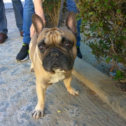 KobyBLN's profile picture. Si quieres saber de mí, pregúntame mejor. Esta cuenta será utilizada para leer noticias y compartir información o sorteos . #MZG #BLN