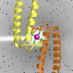 hopfnerlab (@hopfnerlab) Twitter profile photo hopfnerlab (@hopfnerlab) Twitter profile photo
