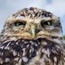 MiFo 🇺🇦 🇪🇺 (@bigyellowbird4) Twitter profile photo MiFo 🇺🇦 🇪🇺 (@bigyellowbird4) Twitter profile photo