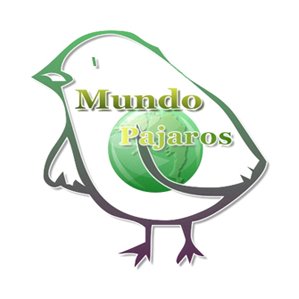 https://t.co/6K7qr7VxBk
 #Ornitología #Deportiva. 
Dedicada a los #pajaros y a las #aves en general. 
Aqui encontrarás toda las #noticias sobre esta #aficion.